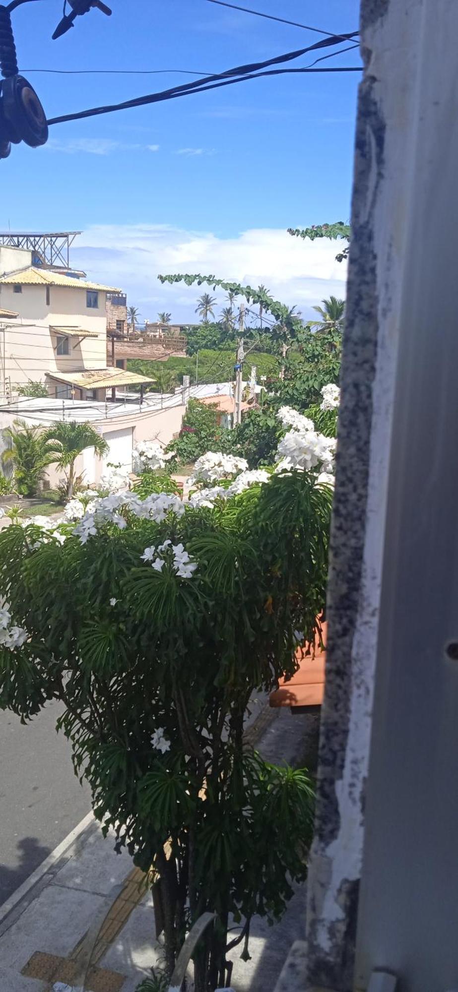 Kit Net Carlotta Apartamentos Salvador Extérieur photo